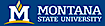 Montana State University logo