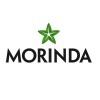 Morinda logo