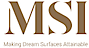 MSI logo