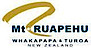 Mt Ruapehu logo