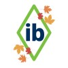 International Bridge logo