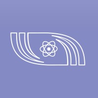 Nucleolectrica Argentina logo