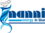 Nanni Energy in blue logo