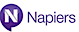 Napiers Financial Services logo