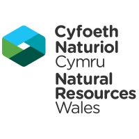 Natural Resources Wales logo