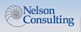 Nelson Consulting logo