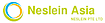 Neslein logo