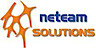 Neteam Solutions logo