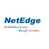 Netedge Computing Solutions logo