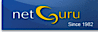 Netguru logo