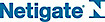 Netigate Deutschland logo