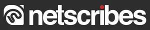 Netscribes logo