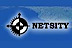 Netsity logo