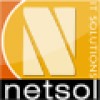 Netsol It Solutions logo