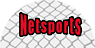 NetSports logo