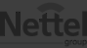 Nettel Group / Nettech /Helt logo