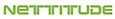 Nettitude logo