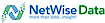 NetWise Data logo