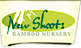 New Shoots Bamboo Nursery logo