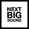 Next Big Sound logo