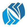 Nexus Consulting India logo