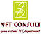 Nft Consult logo