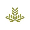 Northeast Georgia Health System logo