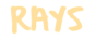 NGO Rays logo