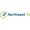 Northeast Information Systems logo