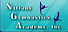 Nittany Gymnastics Academy logo