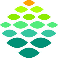 Northern Light Health logo