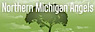 Northern Michigan Angels logo