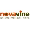 Novavine logo