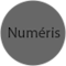 Numeris Publicite logo