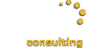 Nut Consulting logo