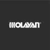 The Olayan Group logo