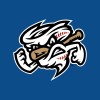 Omaha Storm Chasers logo