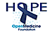 Open Medicine Foundation logo