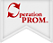 Operation PROM logo