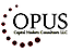 Opus Capital Markets Consultants logo