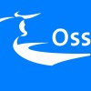 Gemeente Oss logo