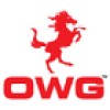 Only World Group Holdings logo