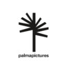 Palma Pictures logo