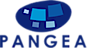 Pangea Network Group logo