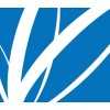 Paper Excellence logo