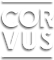 Pardo del Rio Consultores logo