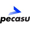 Pecasu logo