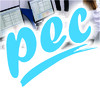 Progressive Expert Consulting logo