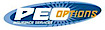 PEO Options Insurance Services logo