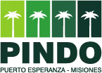 PINDO logo